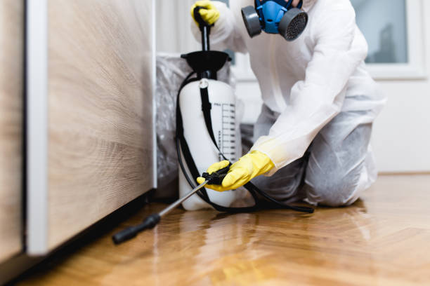 Trusted Glenmont, MD Pest Control Experts