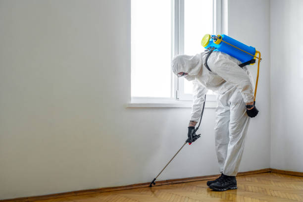 Best Residential Pest Control  in Glenmont, MD