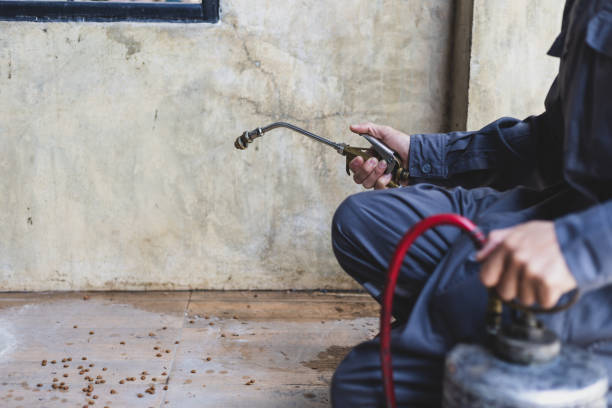 Best Affordable Pest Control Services  in Glenmont, MD