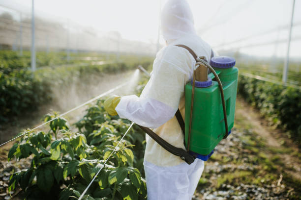 Best Commercial Pest Control Services  in Glenmont, MD